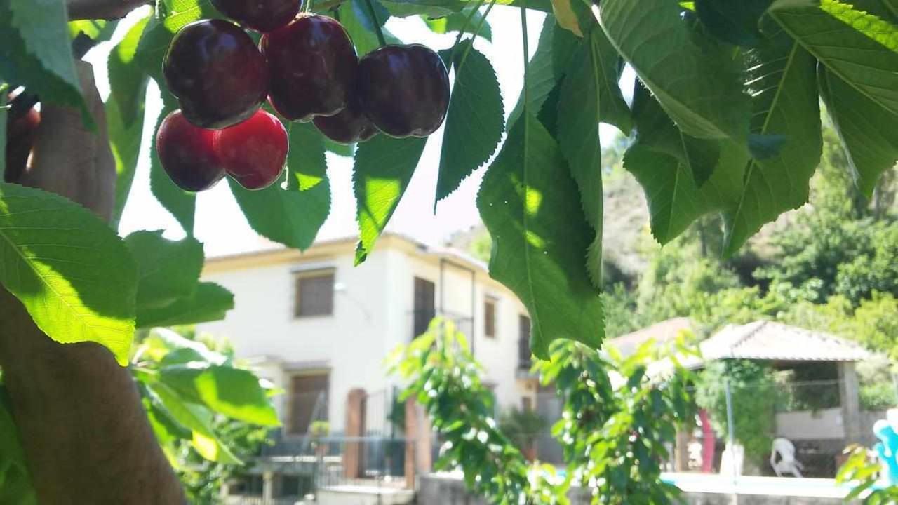 Casa Rural Las Huertas De Roque Monachil Kültér fotó