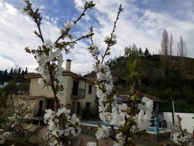 Casa Rural Las Huertas De Roque Monachil Szoba fotó